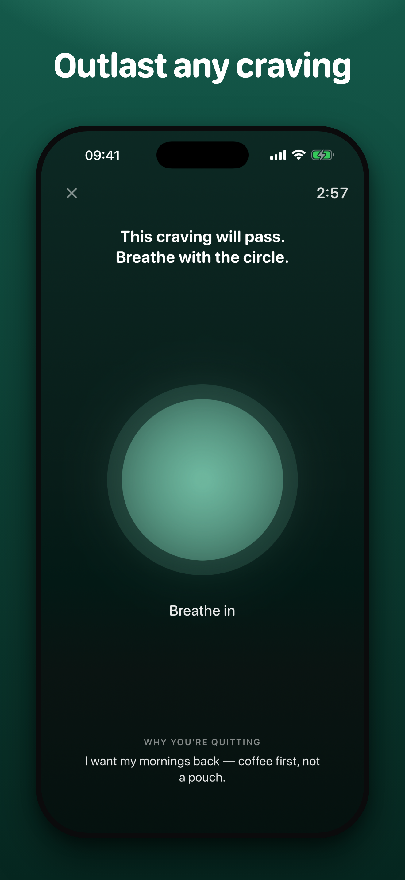 Unpouched craving panic button — breathing circle and countdown