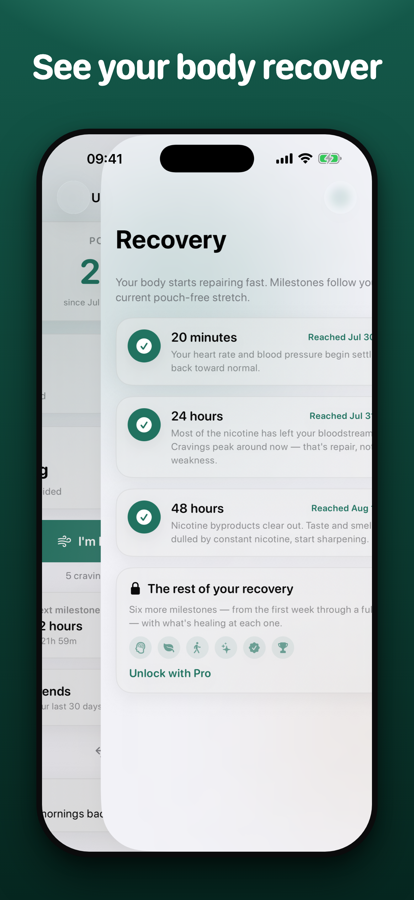 Unpouched recovery timeline — your body healing over time